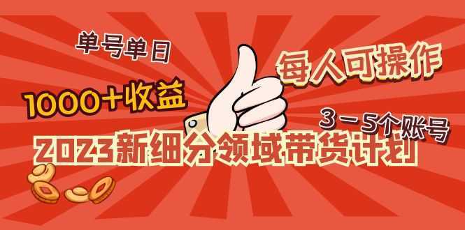 2023新细分领域带货计划:单号单日1000+收益不难,每人可操作3-5个账号