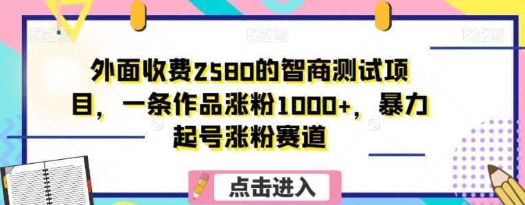 外面收费2580的智商测试项目，一条作品涨粉1000+，暴力起号涨粉赛道【揭秘】