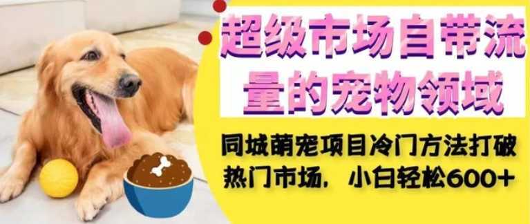 超级市场自带流量的宠物领域，同城萌宠项目冷门方法打破热门市场，小白轻松600+