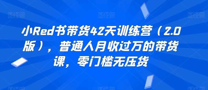 小Red书带货42天训练营，普通人月收过万的带货课，零门槛无压货
