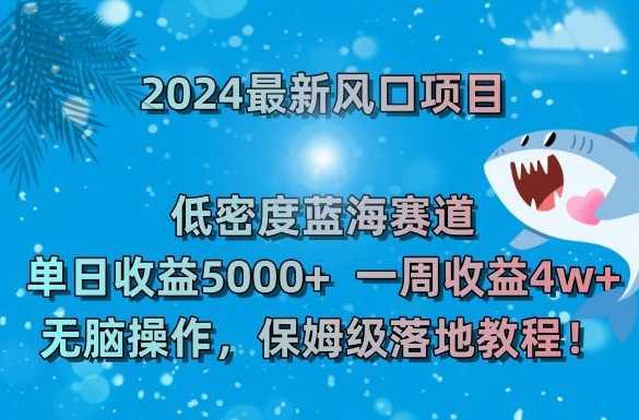 2024最新风口项目，低密度蓝海赛道，单日收益5000+，一周收益4w+！【揭秘】