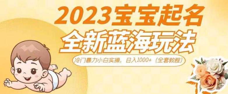 2023宝宝起名全新蓝海玩法，冷门暴力小白实操，日入1000+【揭秘】