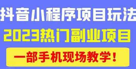 抖音小程序9.0新技巧，2023热门副业项目，动动手指轻松变现