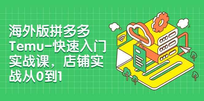 外版拼多多Temu-快速入门实战课，店铺实战从0到1
