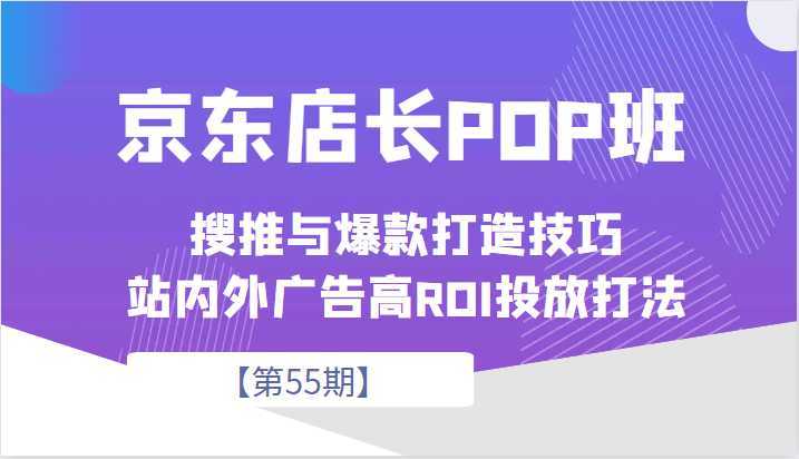 京东店长POP班【第55期】，京东搜推与爆款打造技巧，站内外广告高ROI投放打法