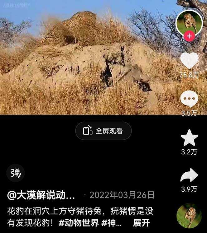 外面卖1699的国外纪录片解说稳过中视频