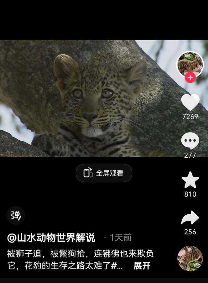 外面卖1699的国外纪录片解说稳过中视频