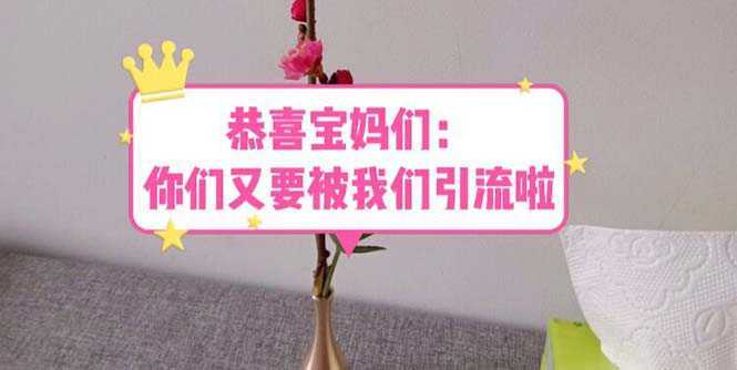 恭喜宝妈们：你们又要被我们引流了