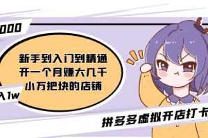 拼多多虚拟开店打卡群:新手到入门到精通