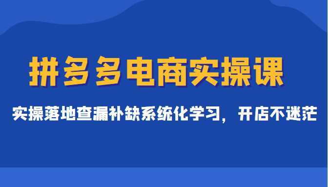 拼多多电商实操课，实操落地查漏补缺系统化学习，开店不迷茫