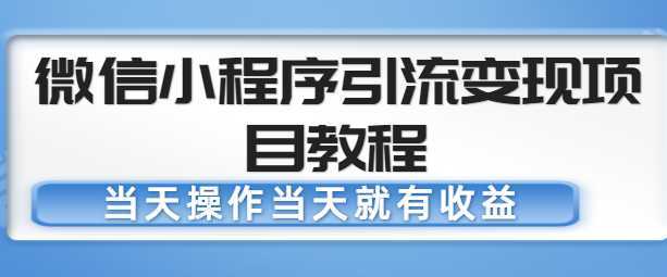 微信小程序引流变现项目教程，当天操作当天就有收益，变现不再是难事【无水印】