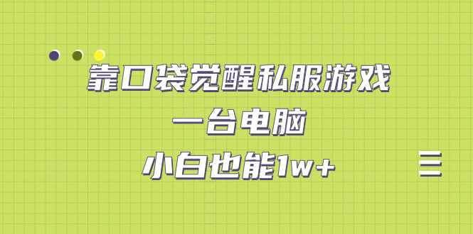 靠口袋觉醒私服游戏，一台电脑，小白也能1w+