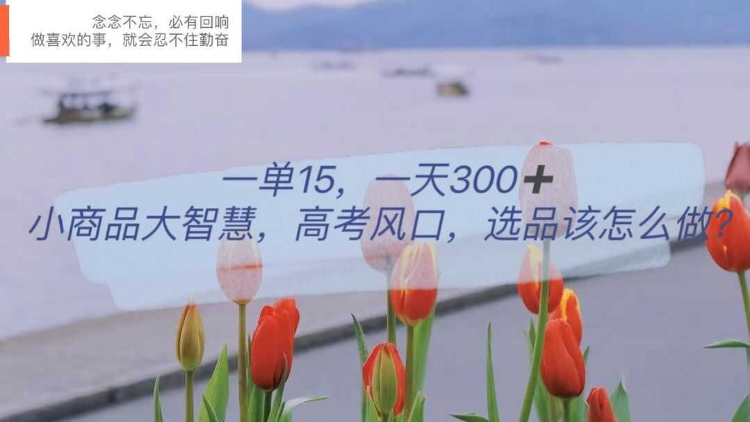 一单15，一天300+，小商品大智慧，高考风口，选品该怎么布局