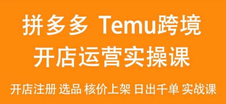 2024Temu最新玩法，Temu跨境开店运营实操课，开店注册/选品/核价上架/日出千单实战课