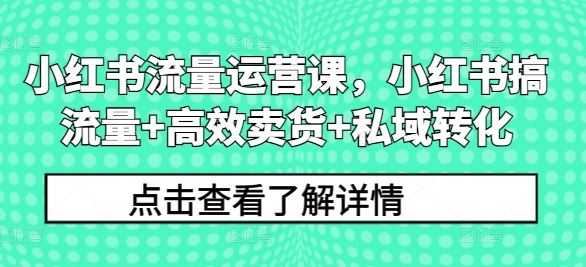 小红书流量运营课，小红书搞流量+高效卖货+私域转化