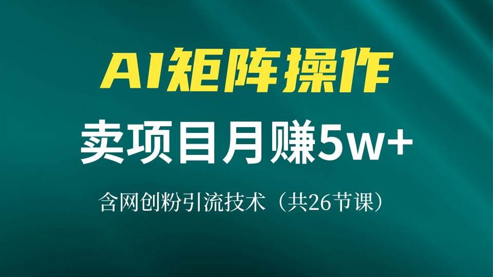 网创IP打造课，借助AI卖项目月赚5万+，含引流技术