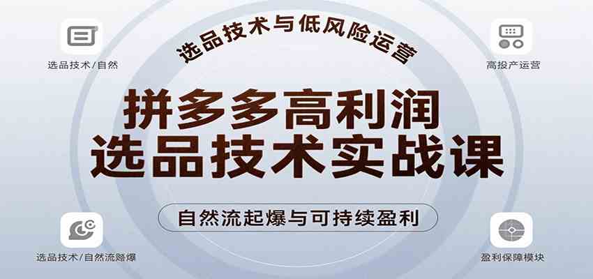 拼多多高利润选品技术实战课，手把手教学自然流高投产起爆，实现低风险可持续盈利