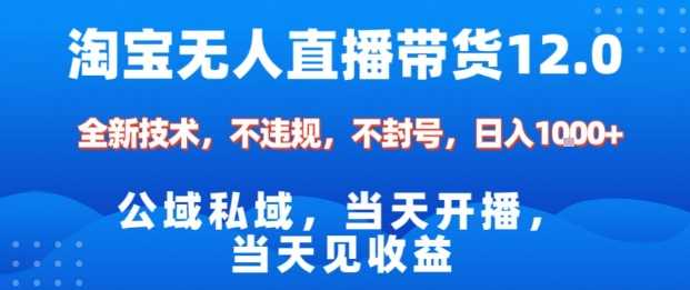 淘宝无人直播12.0,公域私域技术,不封号,不违规布局双十一流量风口,日入1k【揭秘】