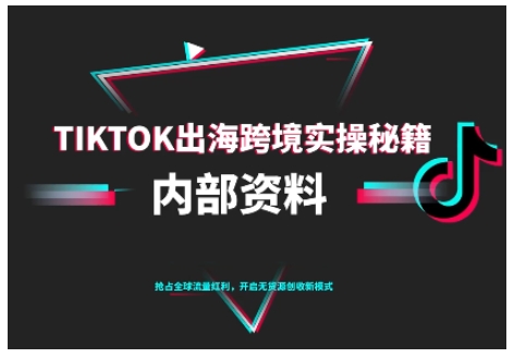TikTok跨境电商0-1搭建运营，TK出海跨境实操秘籍