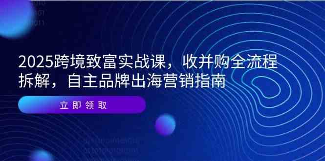 2025跨境致富实战课，收并购全流程拆解，自主品牌出海营销指南