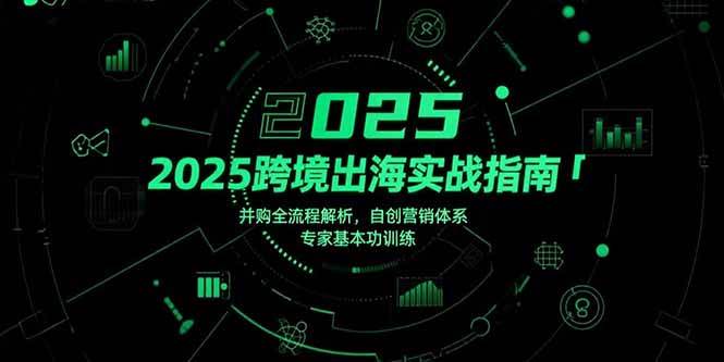 2025跨境出海实战指南，并购全流程解析，自创营销体系，专家基本功训练