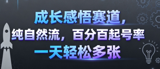 成长感悟赛道，纯自然流，百分百起号率 一天轻松多张