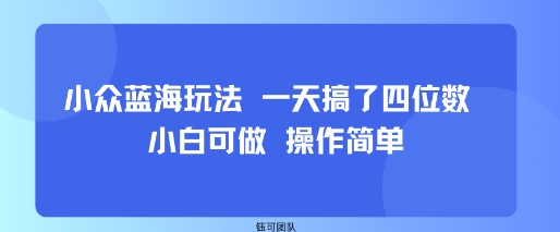 小众蓝海玩法 一天搞了四位数 小白可做 操作简单