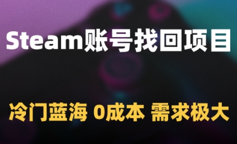 Steam账号找回项目，冷门蓝海，0成本，需求极大