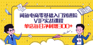 闲鱼电商零基础入门VIP实战课程，单店每日净利增300+