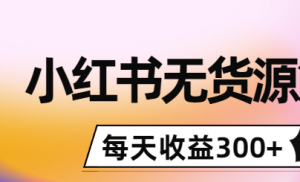 小红书无货源怎么赚钱：0投入起店，无脑图文精细化玩法，每天收益300+