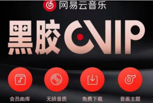 网易云音乐撸黑胶年卡及变现方法【收益可无限放大】