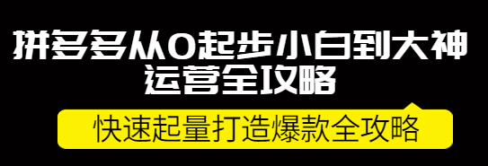 拼多多开店怎么运营：拼多多小白到大神运营全攻略，快速起量打造10W+爆款