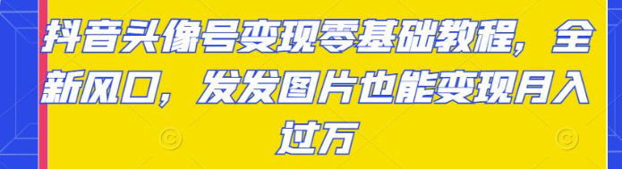抖音头像号变现项目零基础教程：发发图片也能月入过万