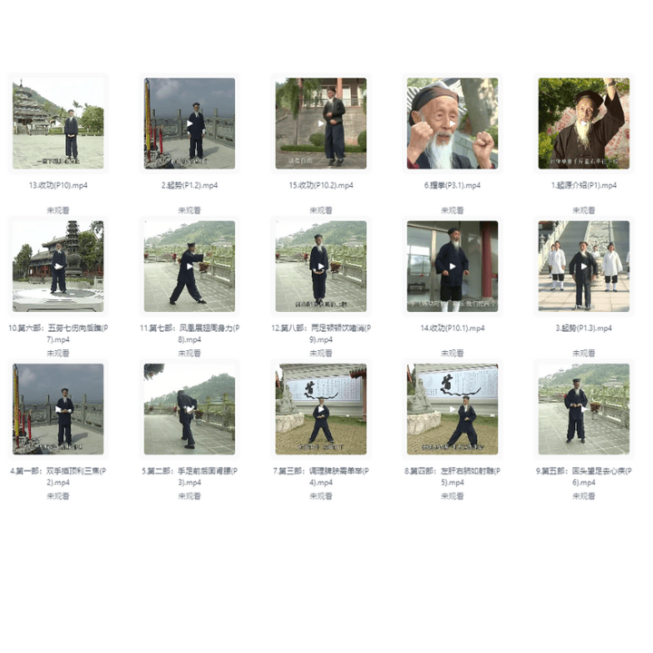 58G张至顺八部金刚功长寿功教程中医养生按摩中医教程张至顺全套养生课程【电商热销35】