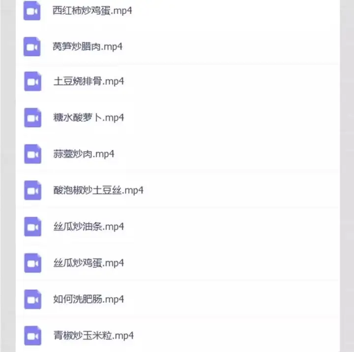 600多种快餐炒菜技术资料教程-商用小炒快餐盒饭大锅菜技术配方炒菜教学视频外卖盖浇饭食堂【电商热销534】