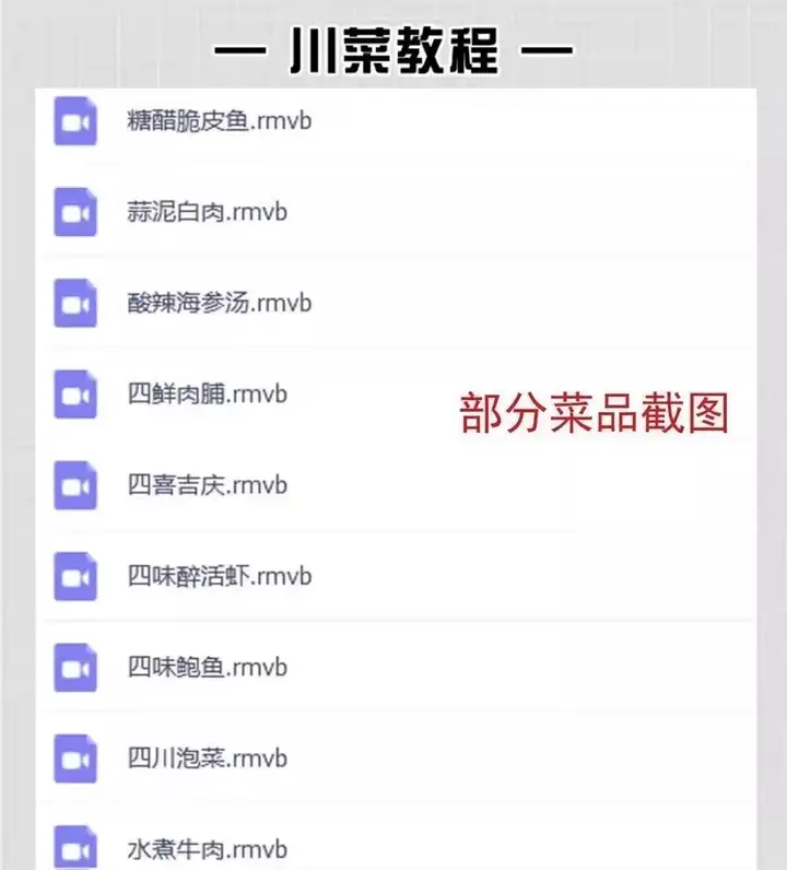 600多种快餐炒菜技术资料教程-商用小炒快餐盒饭大锅菜技术配方炒菜教学视频外卖盖浇饭食堂【电商热销534】