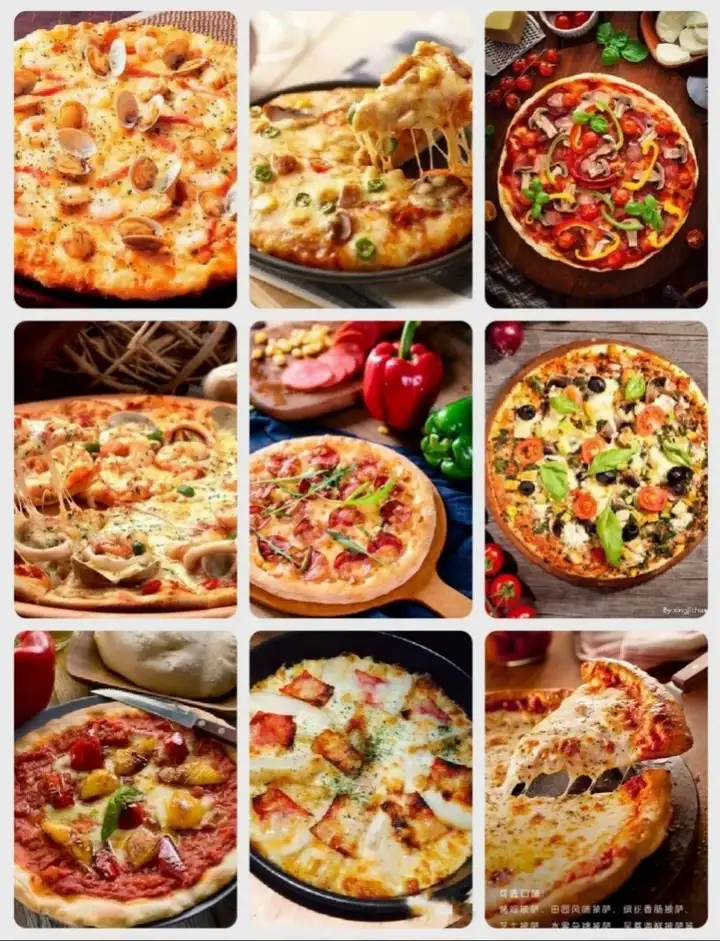 75种披萨技术做法配方教程-意大利薄底饼胚披萨配方30G视频+文档【电商热销662】