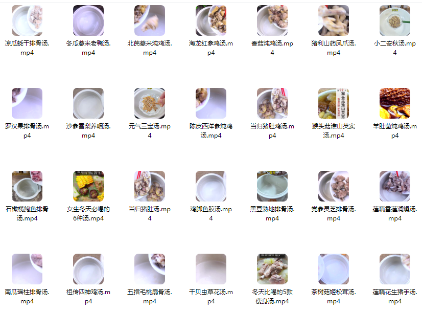 几百种煲汤视频教程【附电子版文本】煲汤煮汤做法鸡汤排骨汤鲫鱼汤羊肉汤教程合集【电商热销855】