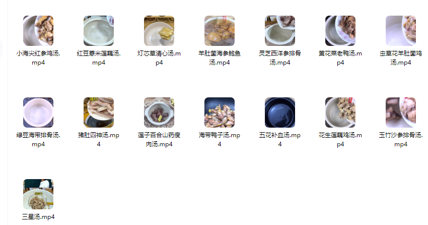 几百种煲汤视频教程【附电子版文本】煲汤煮汤做法鸡汤排骨汤鲫鱼汤羊肉汤教程合集【电商热销855】