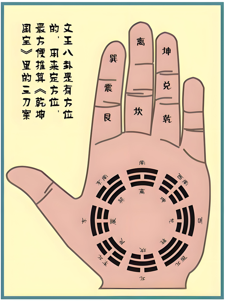 零基础学看手相从入门到精通【结合真人案例】《传统手相结合西方占星理论》