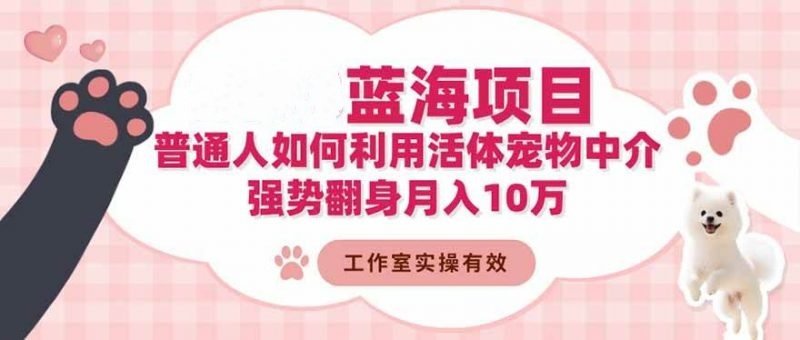 活体宠物中介冷门蓝海项目揭秘，26强势翻身月入10万