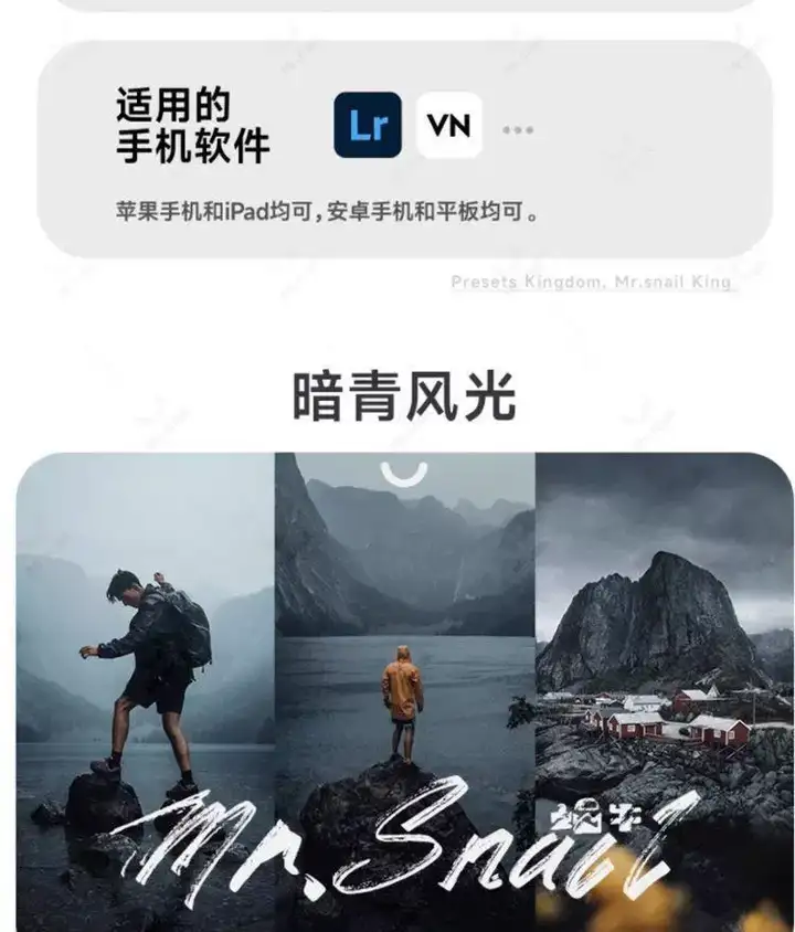 10000+LR高级人像滤镜插件预设PS城市艺术适用图片视频多软件套装【电商热销635】