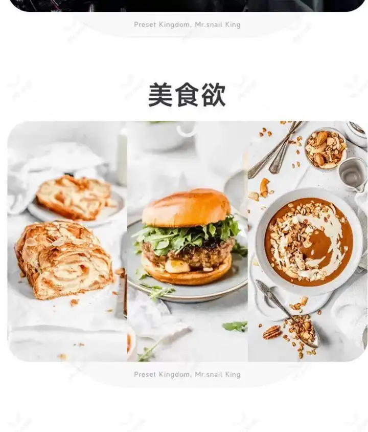 10000+LR高级人像滤镜插件预设PS城市艺术适用图片视频多软件套装【电商热销635】