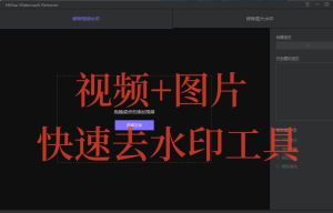 视频+图片去水印工具，快速高效！值得珍藏