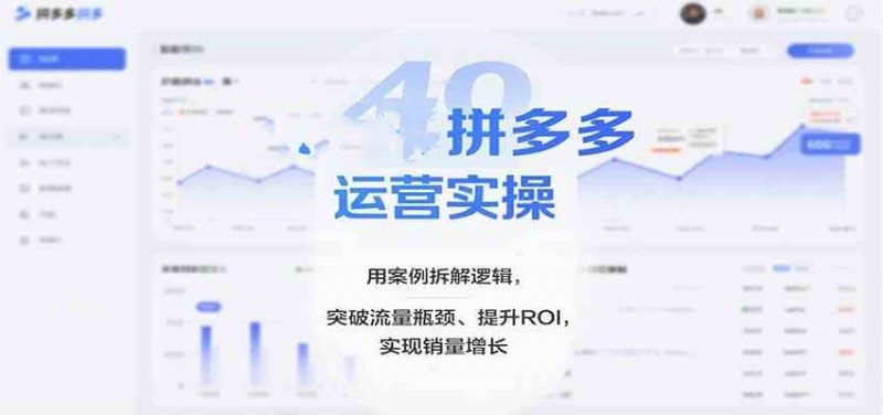 拼多多运营实操课程，选品运营定价销量售后全套讲解，26突破流量瓶颈
