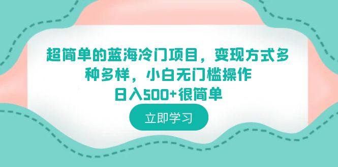 0基础操作蓝海冷门项目日入500+，多种变现方式助你轻松成功！