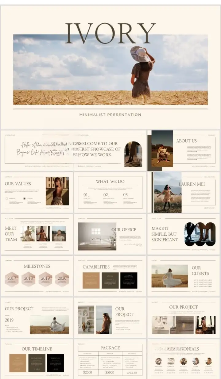 41套高级PPT模版素材-高级感作品集PPT模板 抽象艺术设计感排版求职面试活动汇报通用【电商热销698】