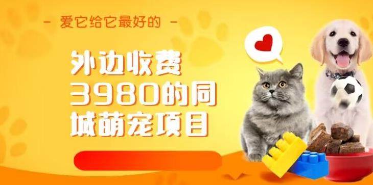 同城萌宠项目，冷门暴利玩法教学【外边收费3980】