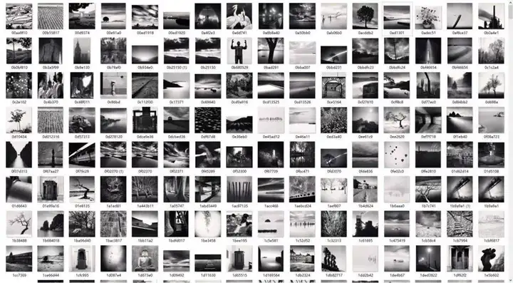 2500幅黑白摄影素材合集-国外黑白摄影大师作品合集灵感风景参考素材图库【电商热销512】