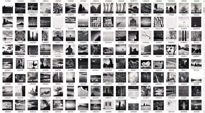 2500幅黑白摄影素材合集-国外黑白摄影大师作品合集灵感风景参考素材图库【电商热销512】